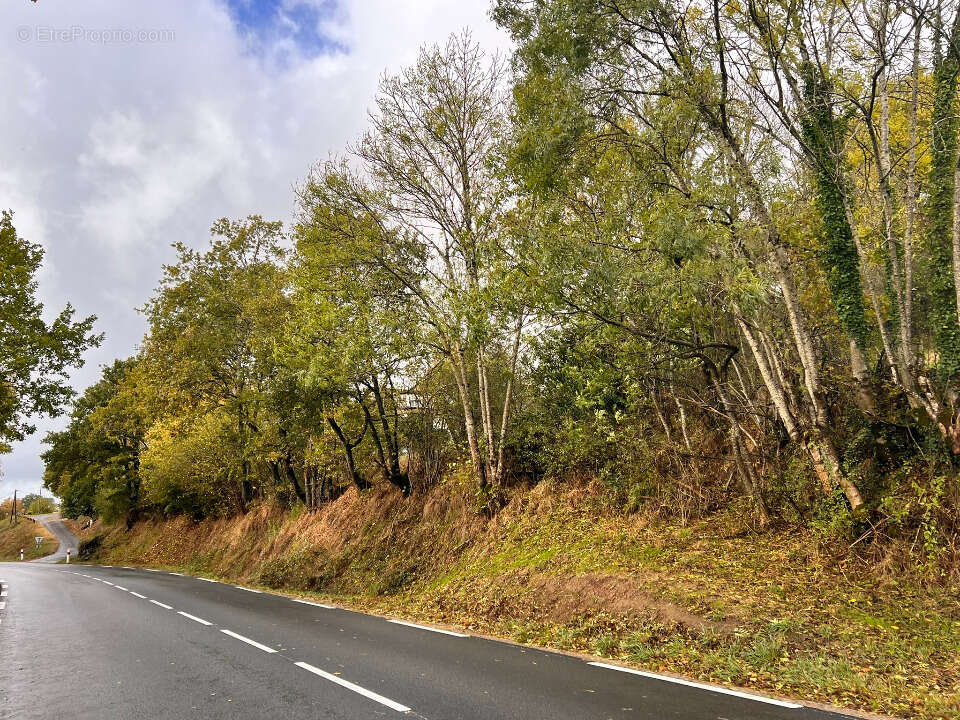 Terrain à SANSAC-DE-MARMIESSE