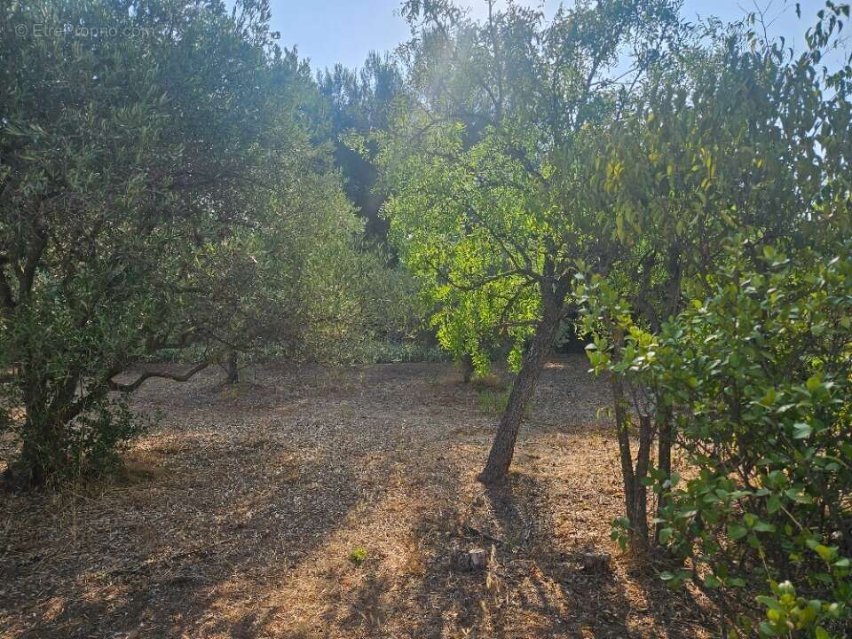 Terrain 450 m² à Les Pennes-Mirabeau  - photo 4