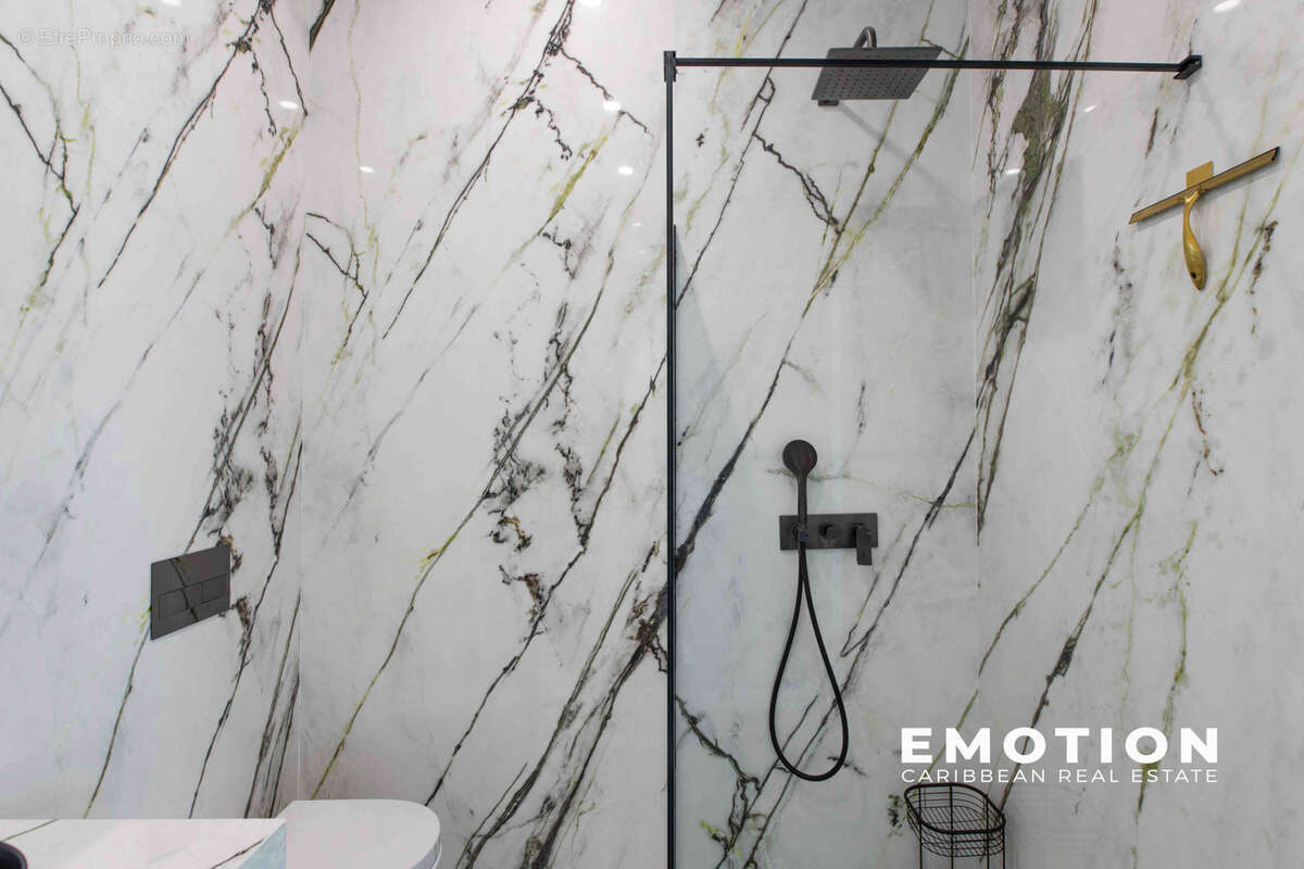 Maison à SAINT-MARTIN