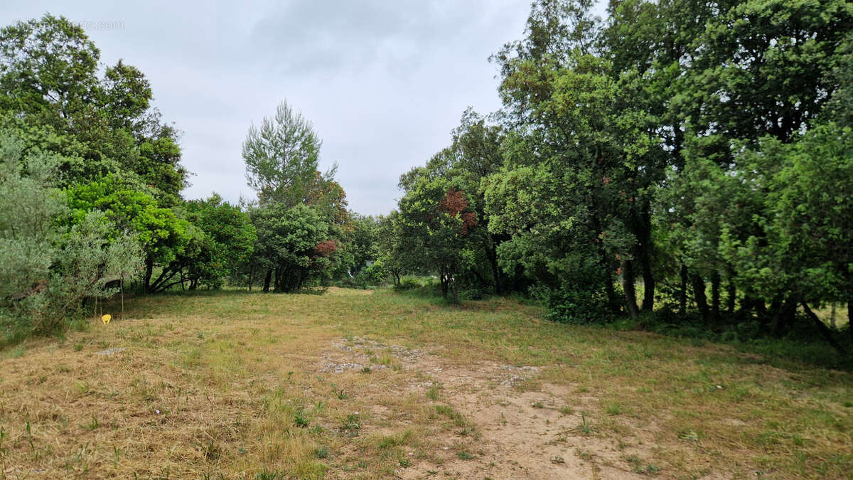 Terrain à LA BOISSIERE