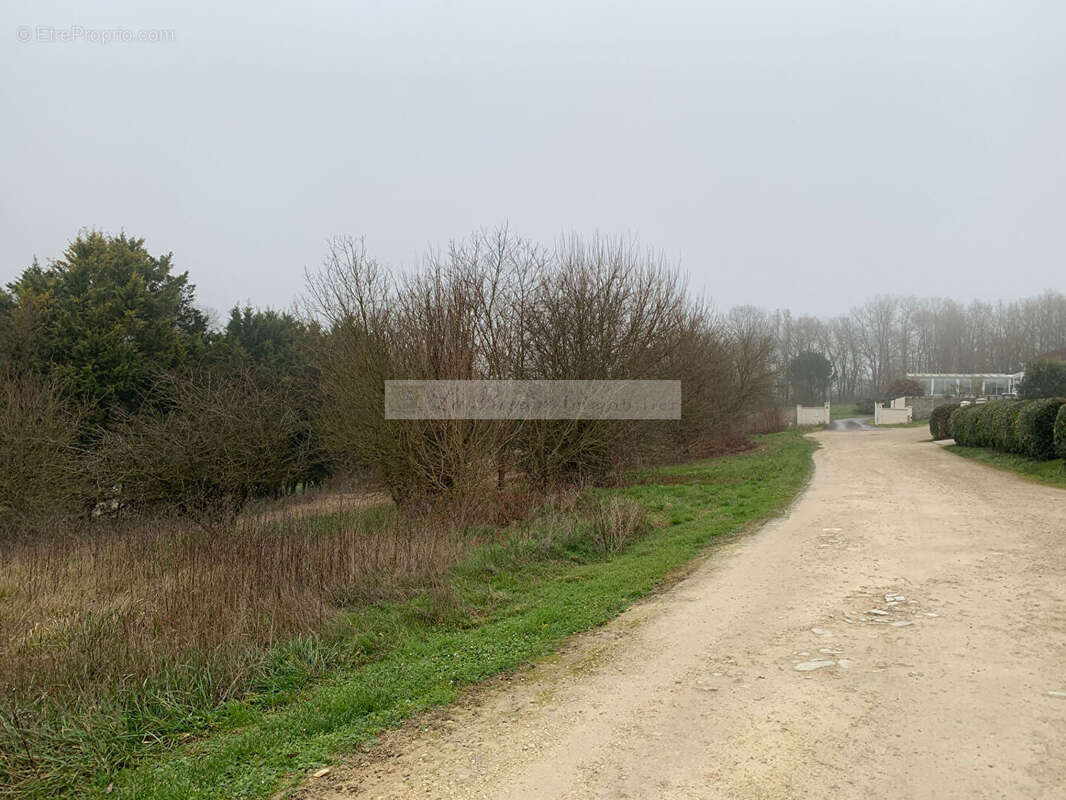 Terrain constructible Douzat 3000 m2 - photo 4