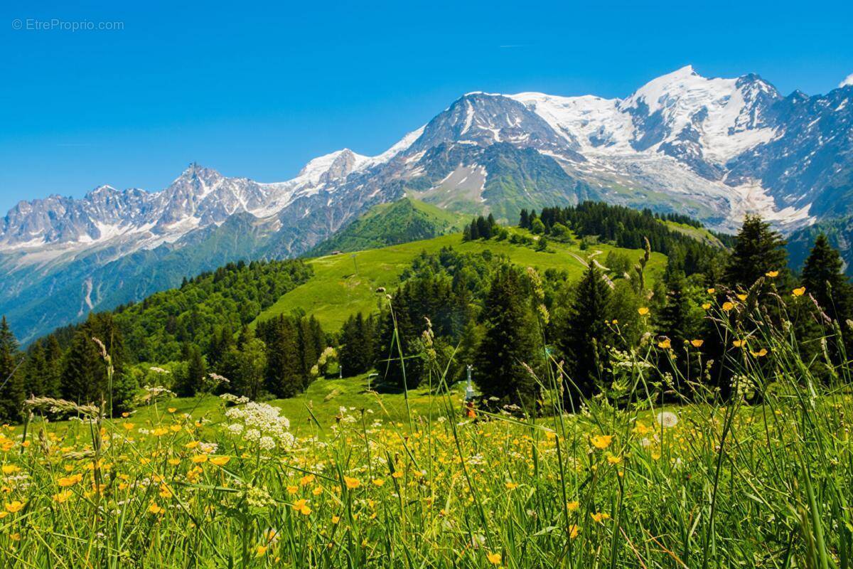Terrain à LES CLUSES