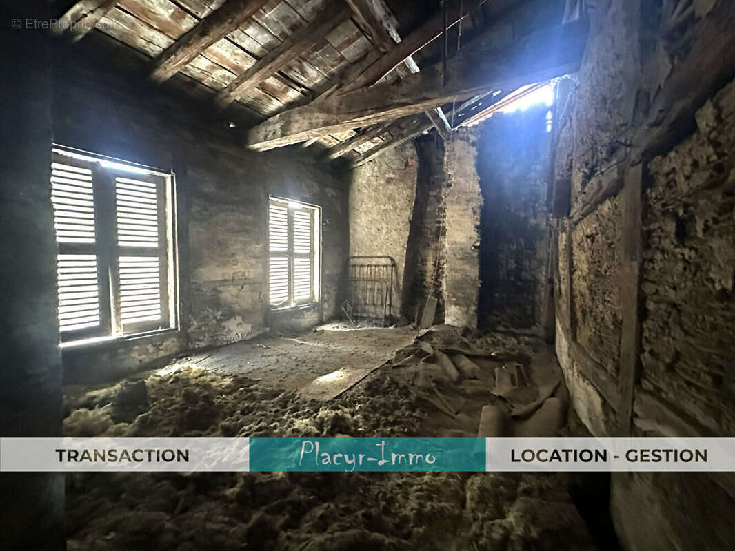 Immeuble Bâgé-le-Châtel - photo 10