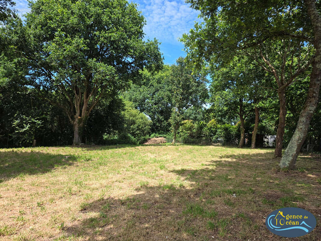 Terrain à bâtir de 1421 m² avec four en pierres A VENDRE 56130 FEREL à 5 minutes d'HERBIGNAC - photo 2