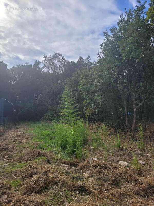 Terrain à SAINT-JUST-LUZAC