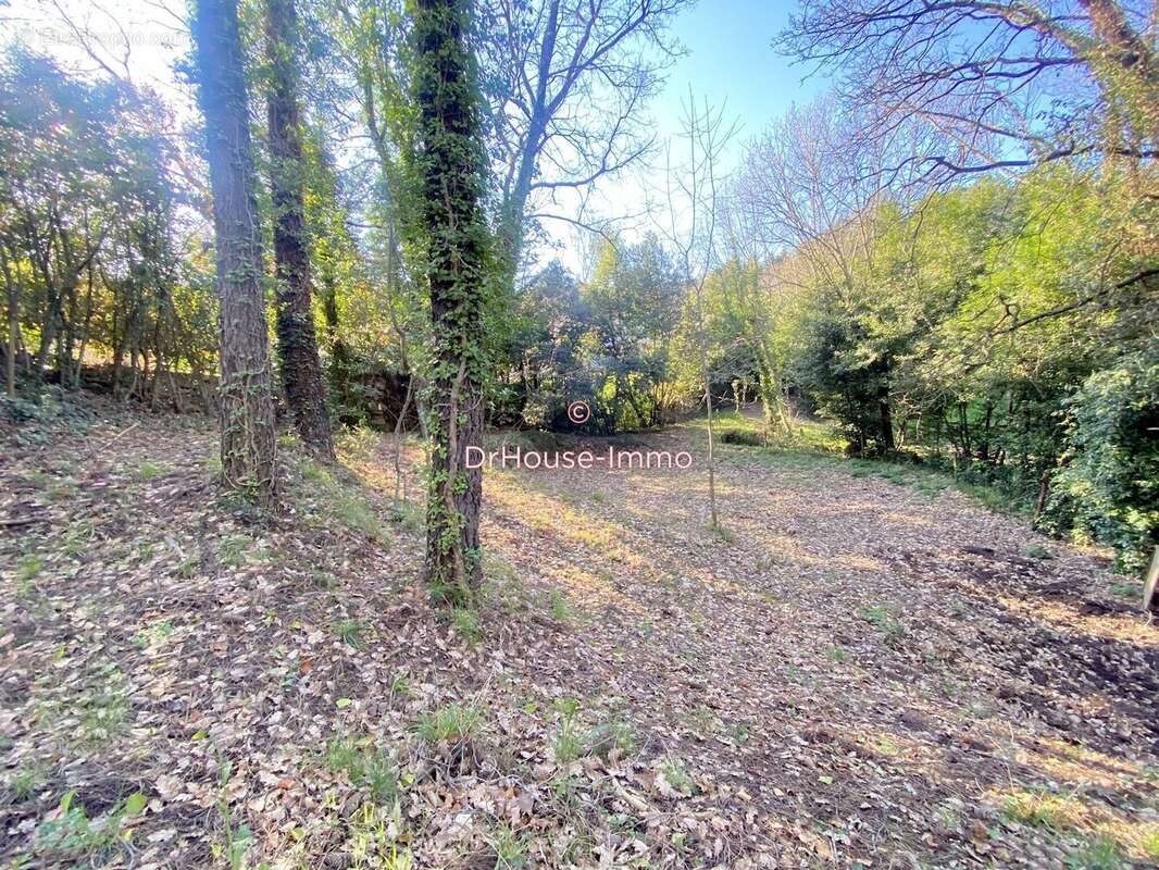 Terrain 1094 m² à Mercuer  - photo 4