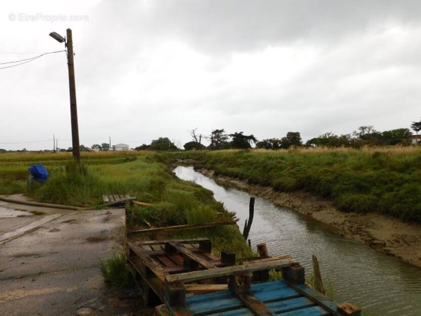 Commerce à DOLUS-D'OLERON