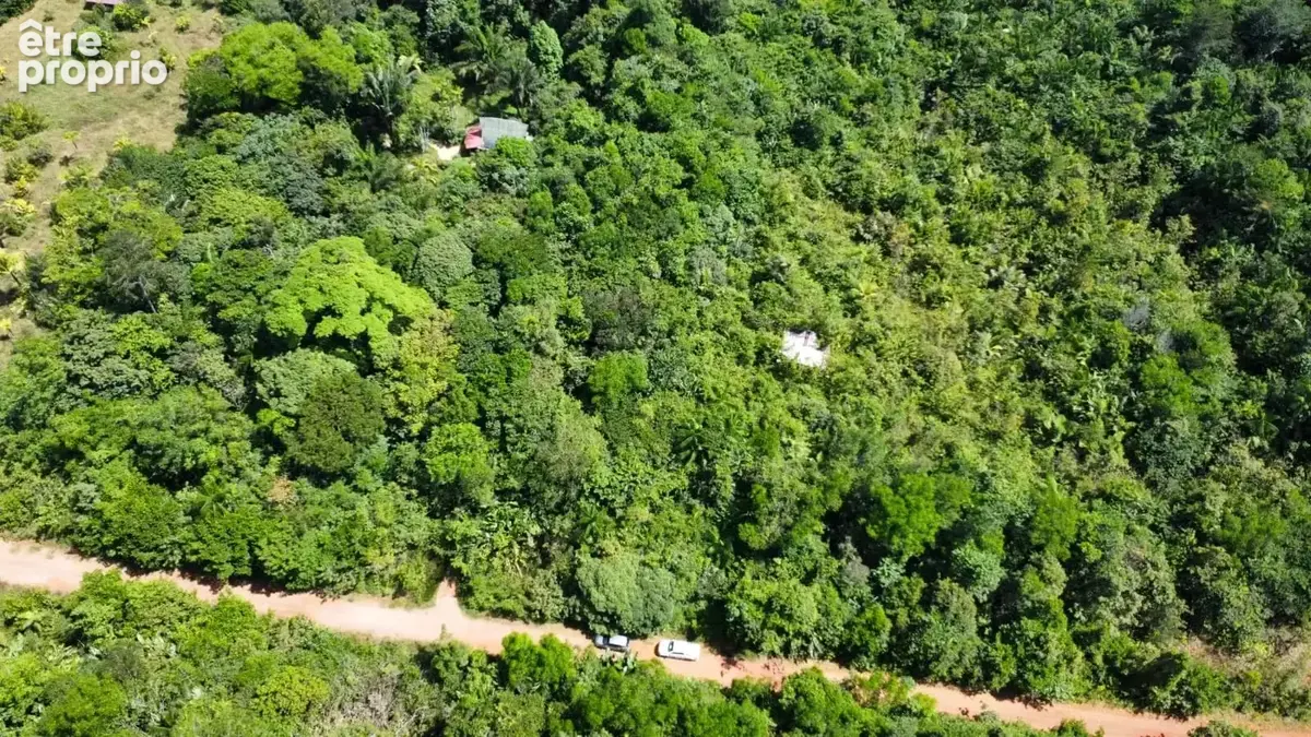 Vente terrain 2 hectares - photo 3
