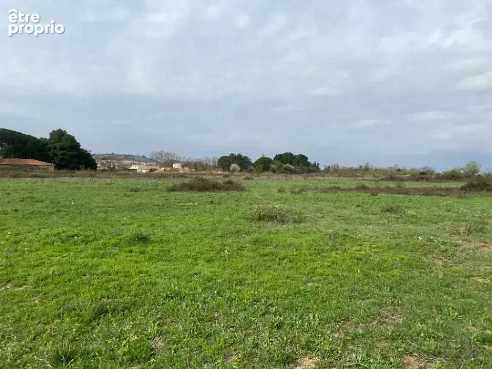 Terrain à SALLES-D'AUDE