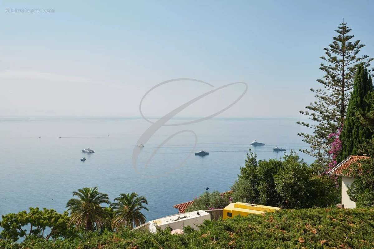Roquebrune cap martin - villa - photo 4