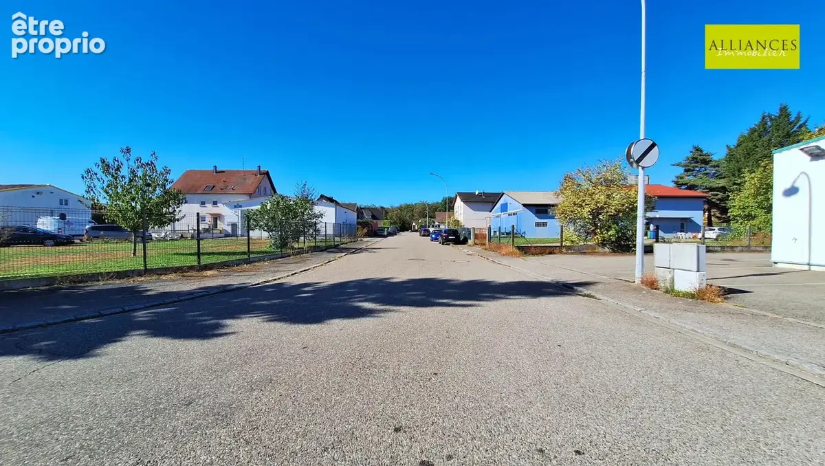 WITTENHEIM-Ensemble immobilier en zone artisanale et commerciale : locaux professionnels, grands volumes et te - photo 25