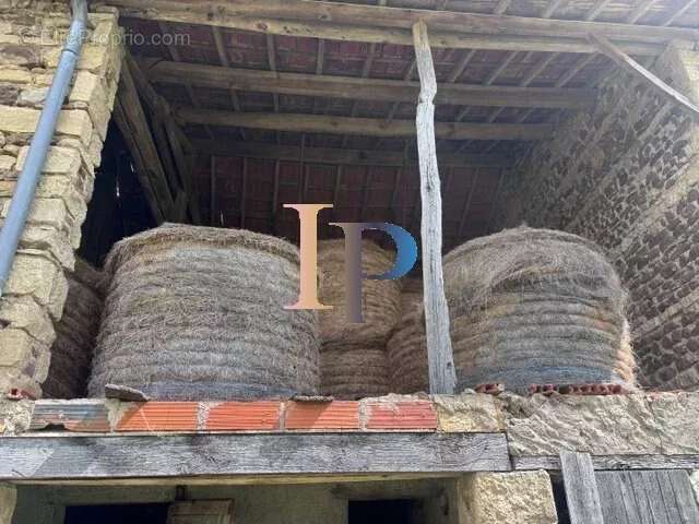 10 MN lA CLAYETTE- Maison et dépendances - photo 2