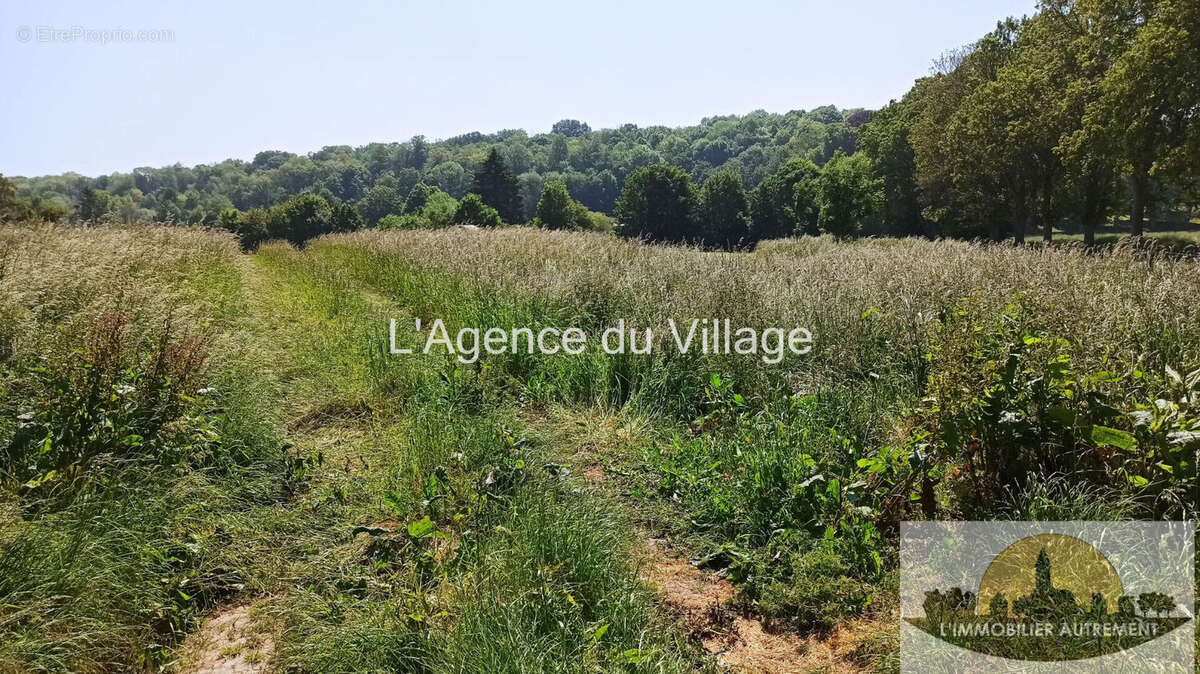 Terrain à SAINT-CREPIN-IBOUVILLERS