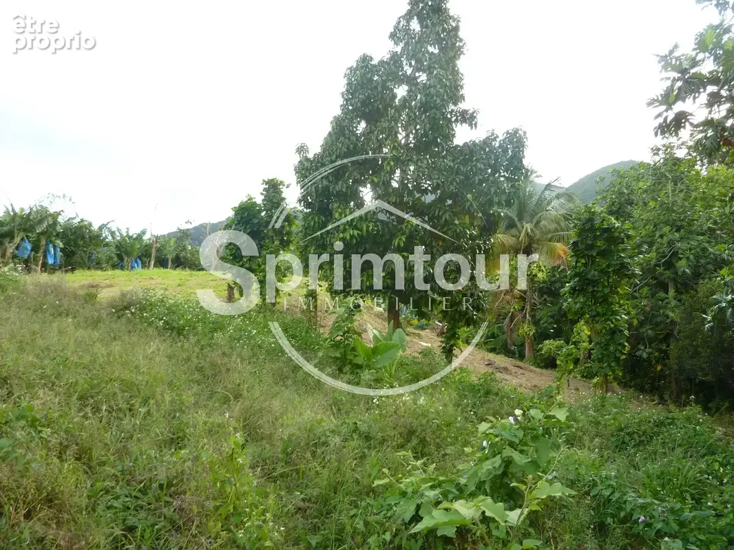 GOURBEYRE Terrain de 1200m2 - photo 8