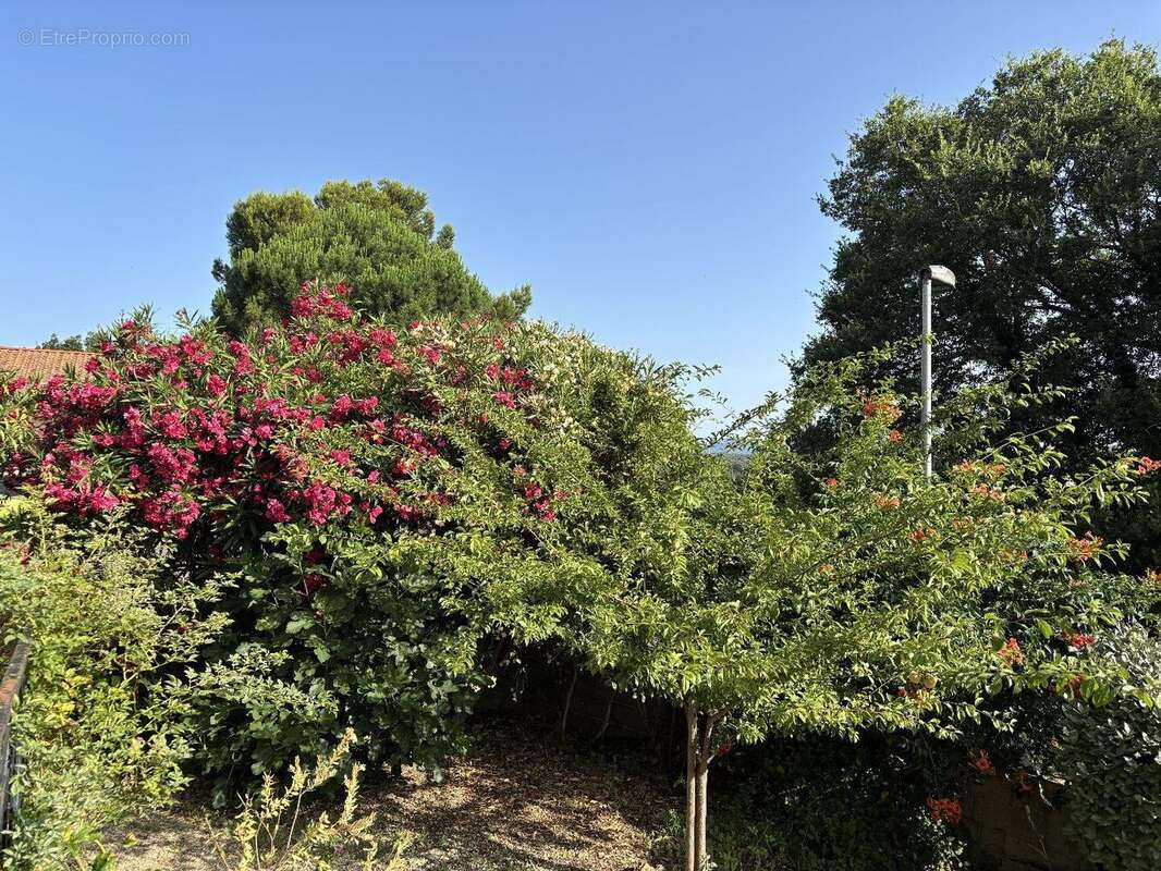 Photo 5 - Maison à NIZAS