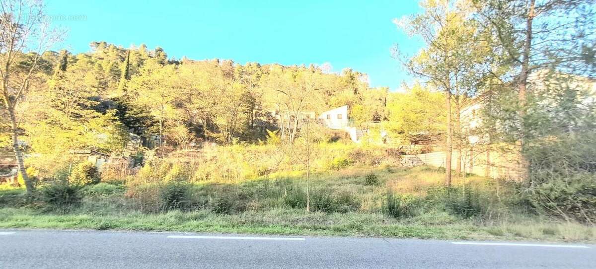 Terrain à VINS-SUR-CARAMY