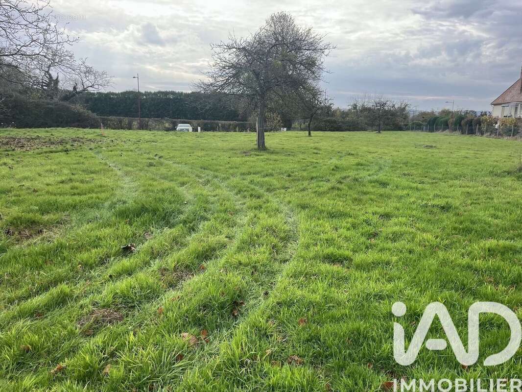 Photo 3 - Terrain à SAINT-MARTIN-AUX-CHARTRAINS