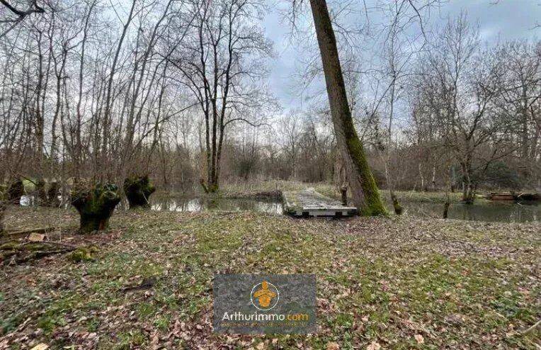 Terrain à SAINT-HILAIRE-LA-PALUD