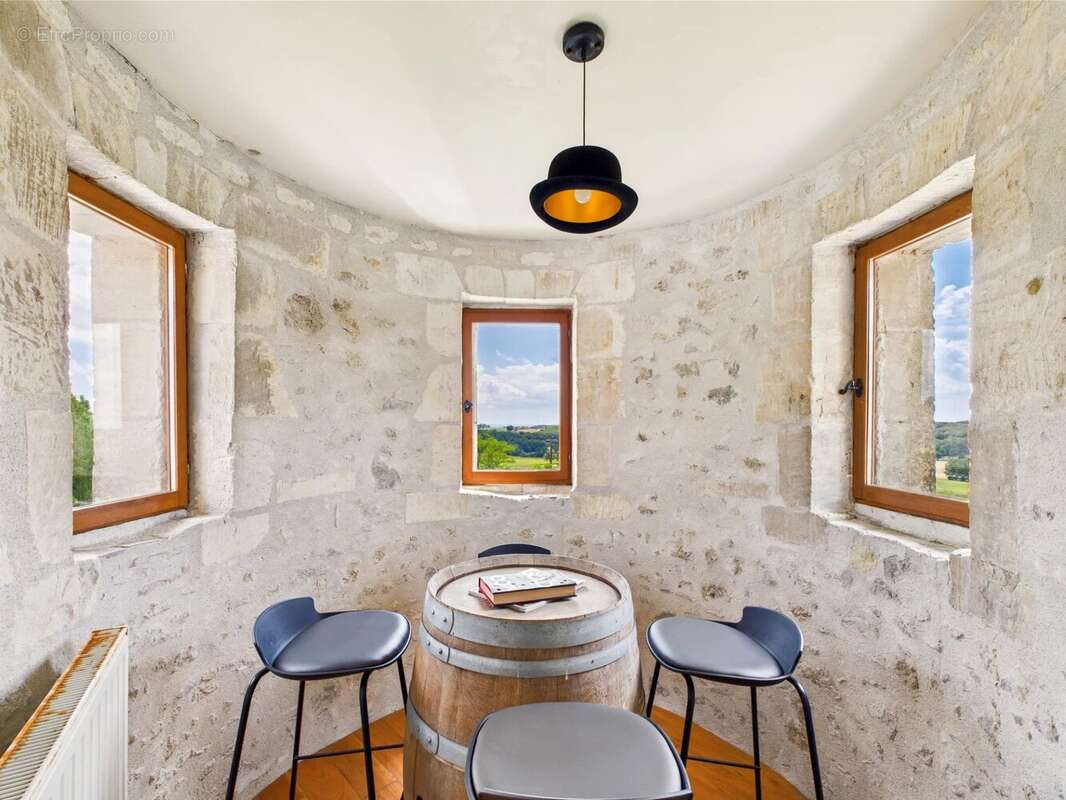 Splendide Château du XIXème siècle avec Tourelles – Élégance, Confort et Art de Vivre à la Française - photo 12