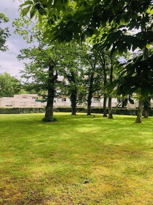 A vendre : T3, Orleans sud, la Source, proche université et - Appartement à ORLEANS