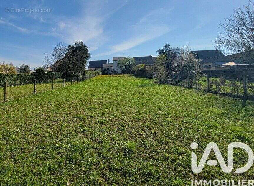 Photo 4 - Maison à SAUMUR