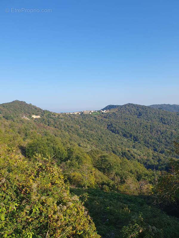 Appartement à PIETRASERENA