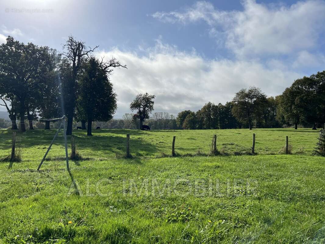 Maison à LE MELE-SUR-SARTHE