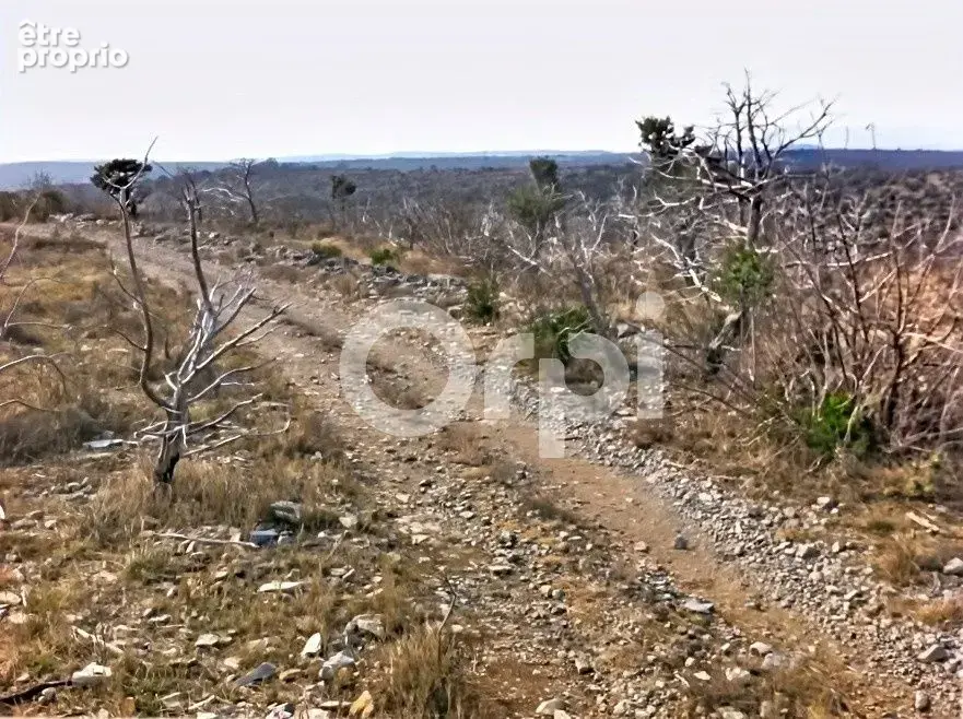 Terrain non constructible 21 025 m² - photo 4