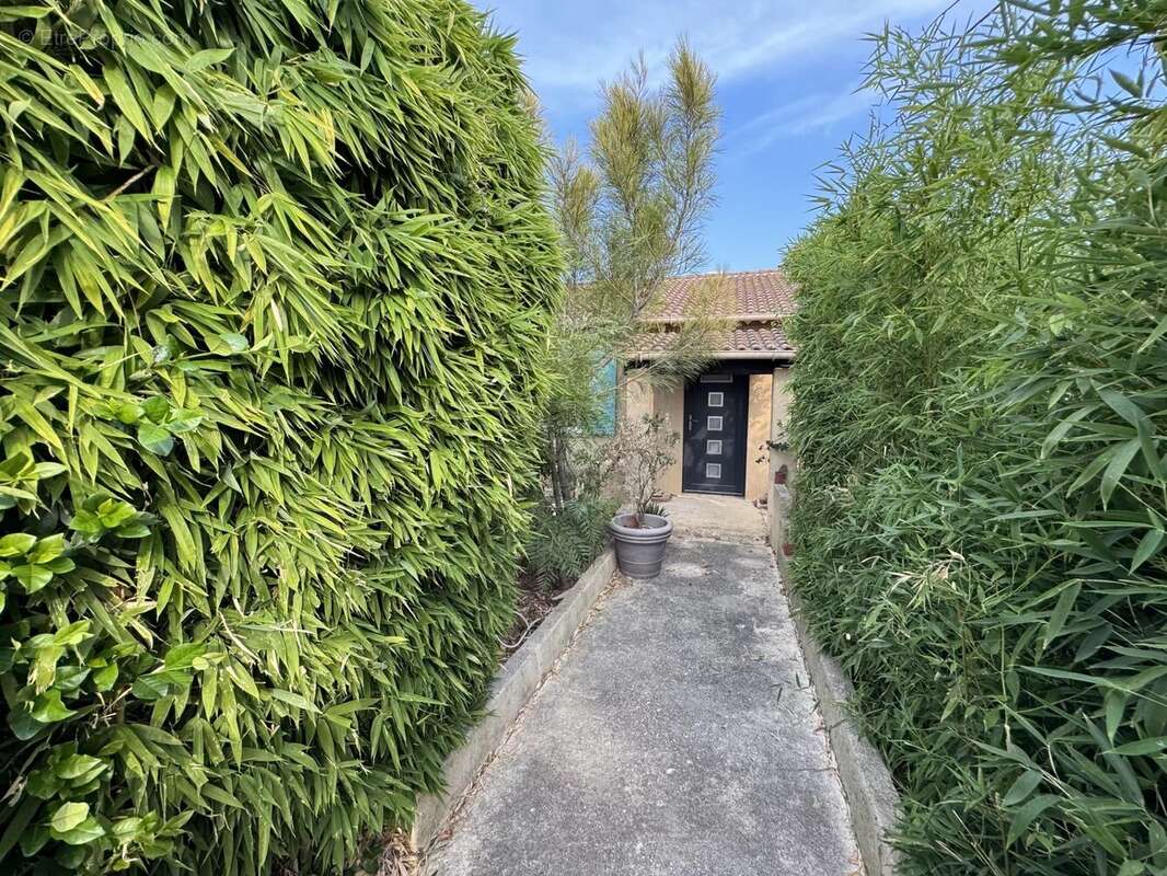 Maison 4 pièces de plain pied La Londe-les-Maures - photo 10