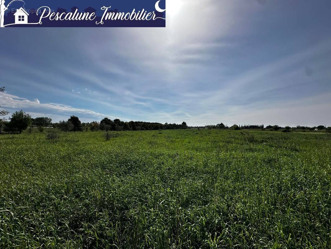 Terrain à MARSILLARGUES