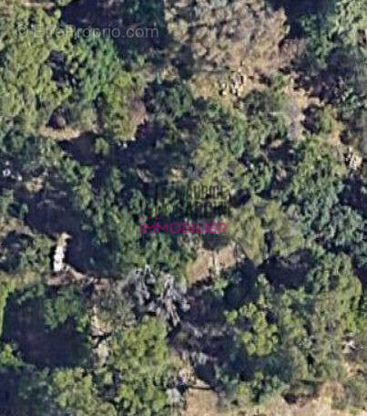 Terrain à VILLENEUVE-LES-AVIGNON