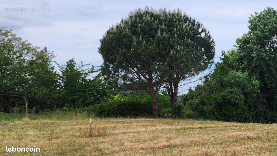 Terrain à OUDALLE