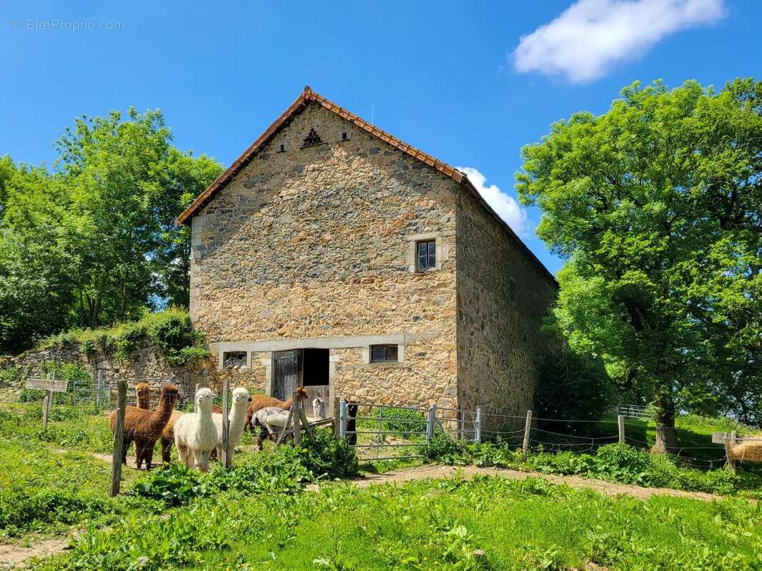 Maison à VILLEFRANCHE-DE-ROUERGUE