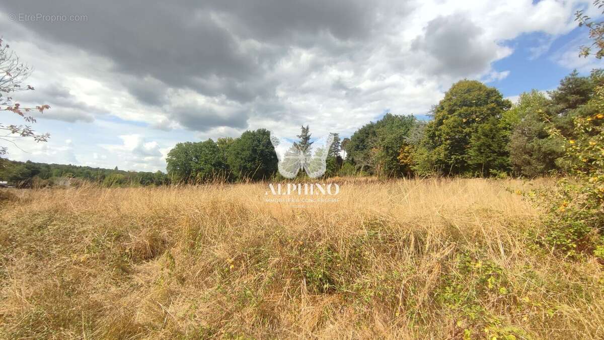 Terrain à VARAIGNES