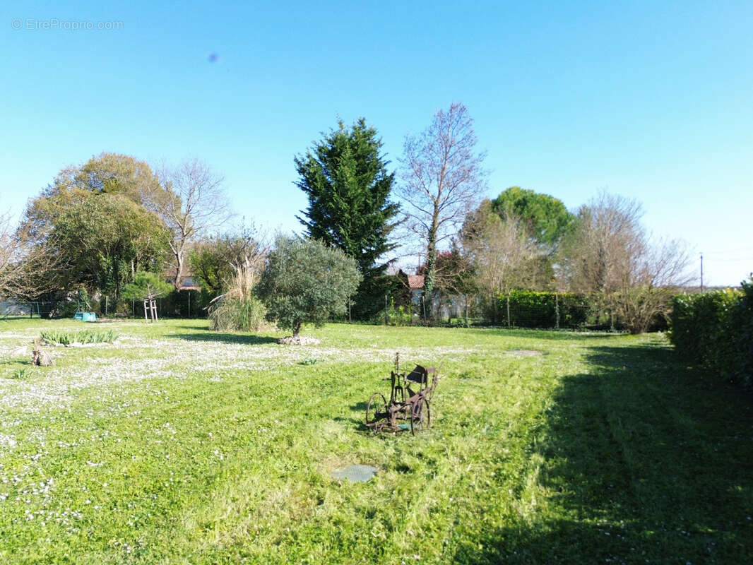 Maison à SAINT-CIERS-CHAMPAGNE
