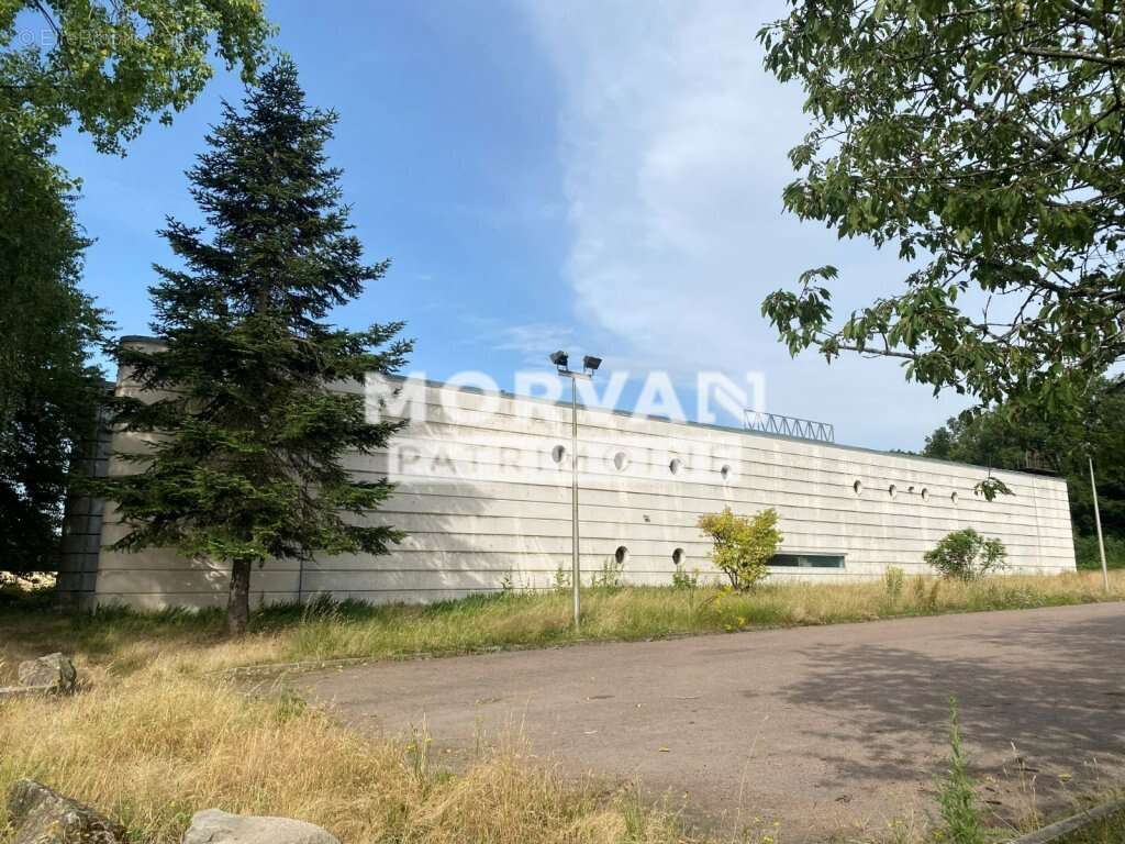 Maison du bazois - batiment sur 2 niveaux 294 m2 - parking et terrain 4017 m2 - photo 2