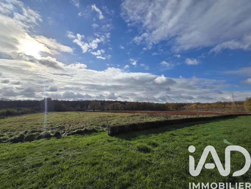 Photo 2 - Terrain à BELABRE