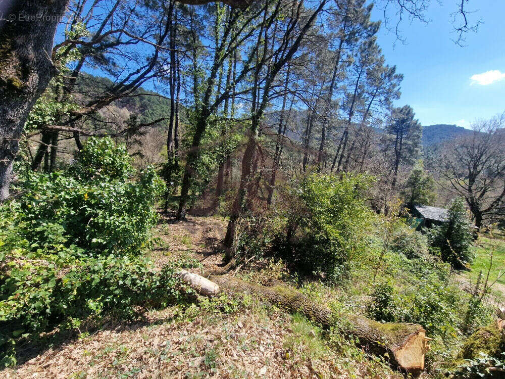 Terrain à PORTES