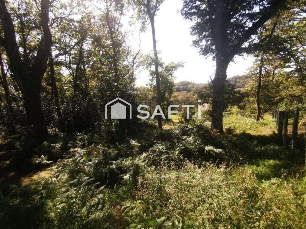 Photo 5 - Terrain à BUROS