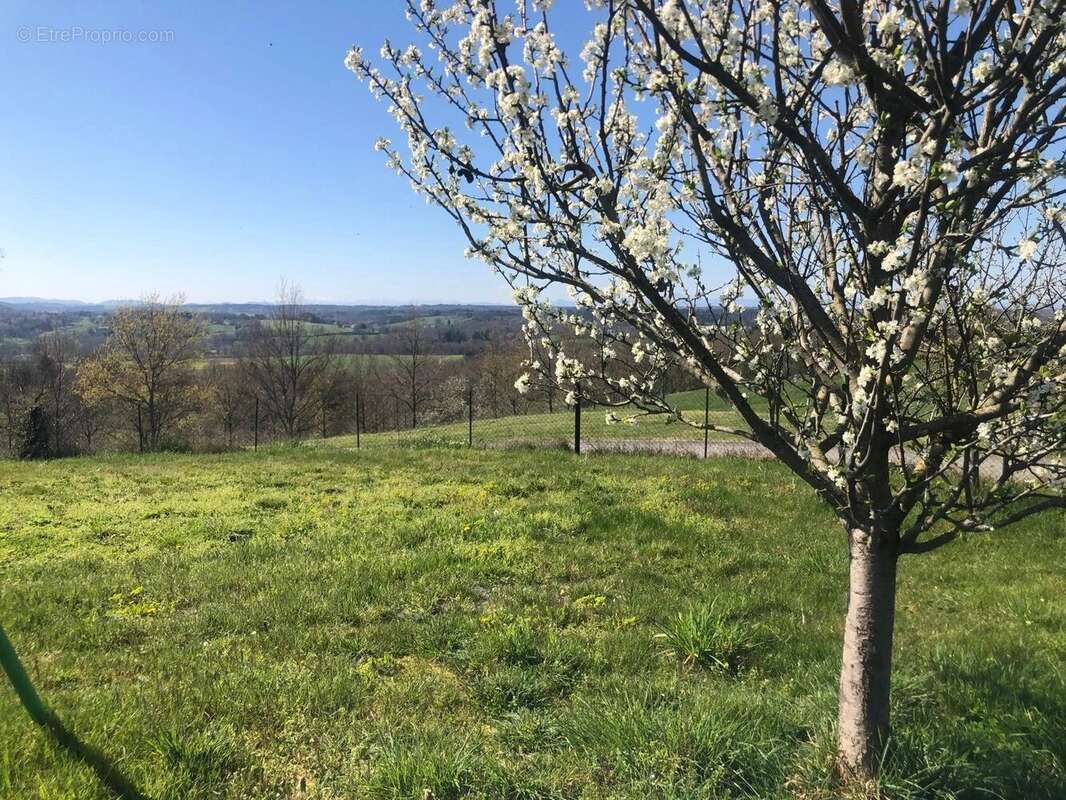 Terrain à ESCOUTOUX