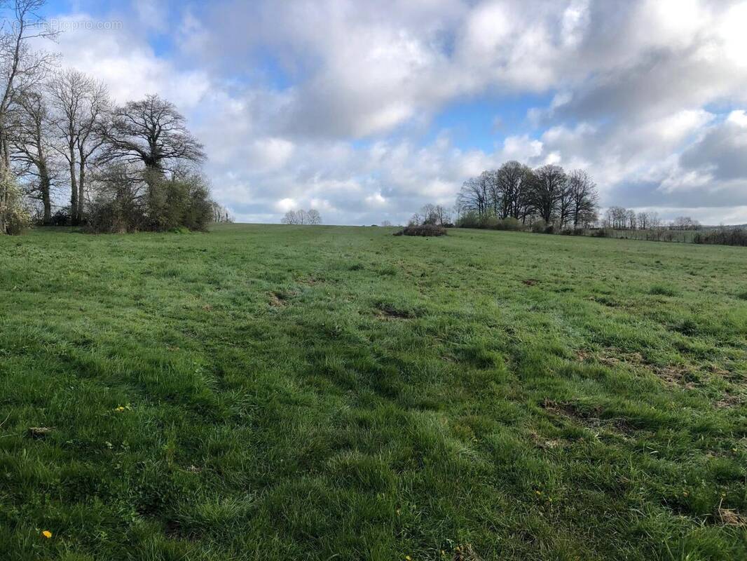 Photo 1 - Terrain à LONGNY-AU-PERCHE