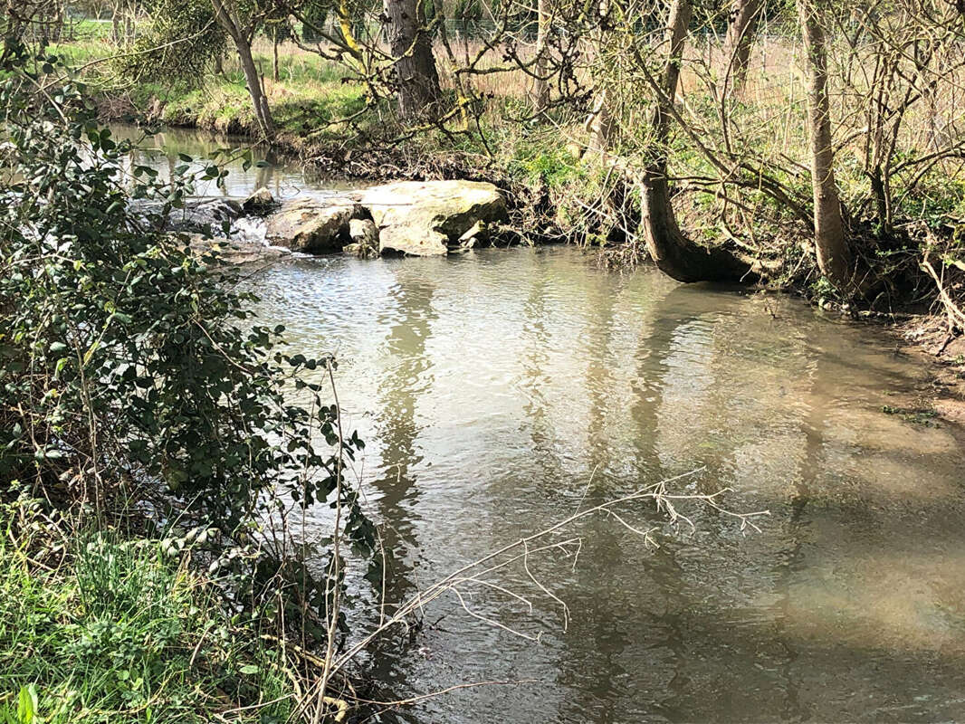 Terrain à LHOMMAIZE
