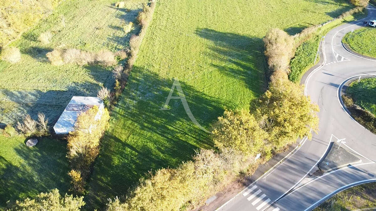 Terrain à LA MOTHE-ACHARD
