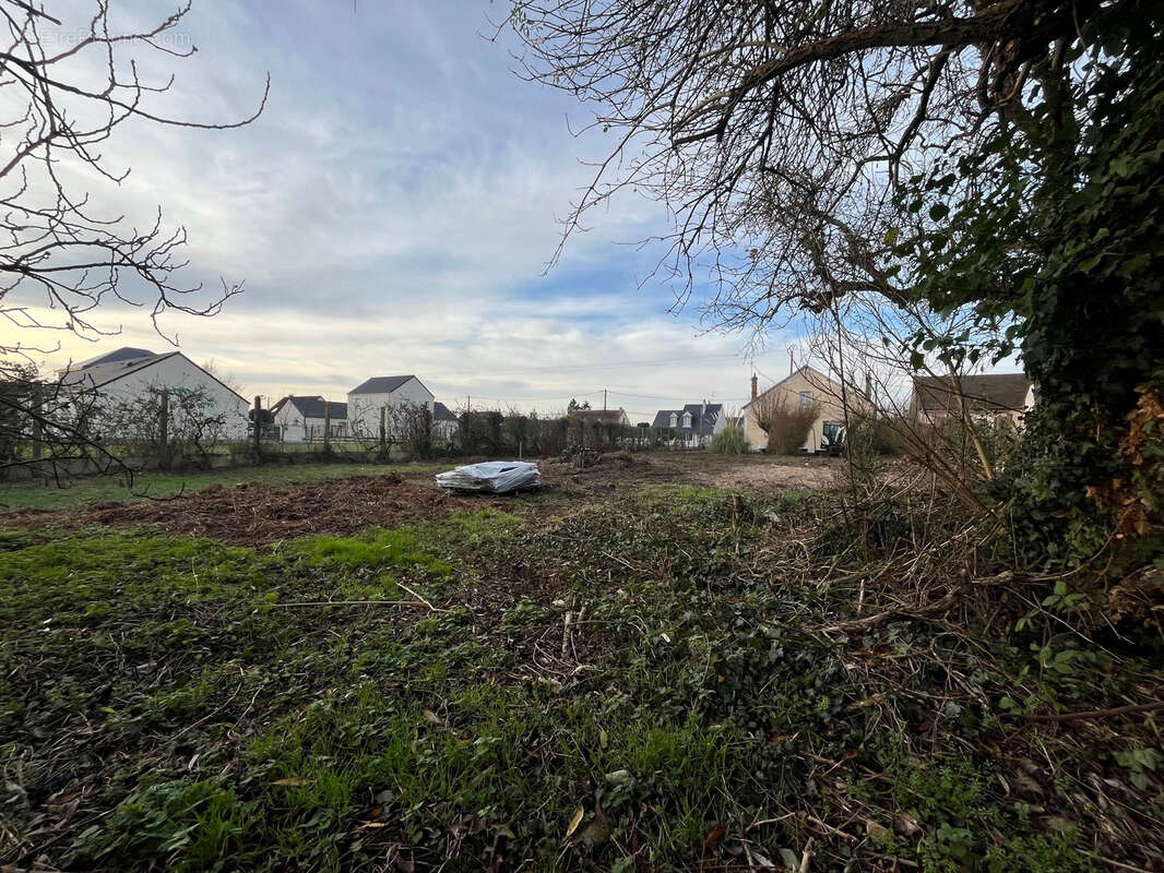 Terrain à LA CHAPELLE-SAINT-MESMIN
