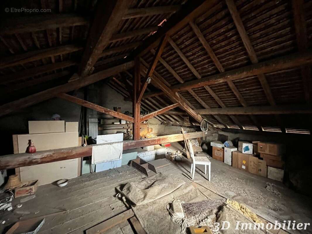 Maison 450 m² à Douvaine  - photo 7