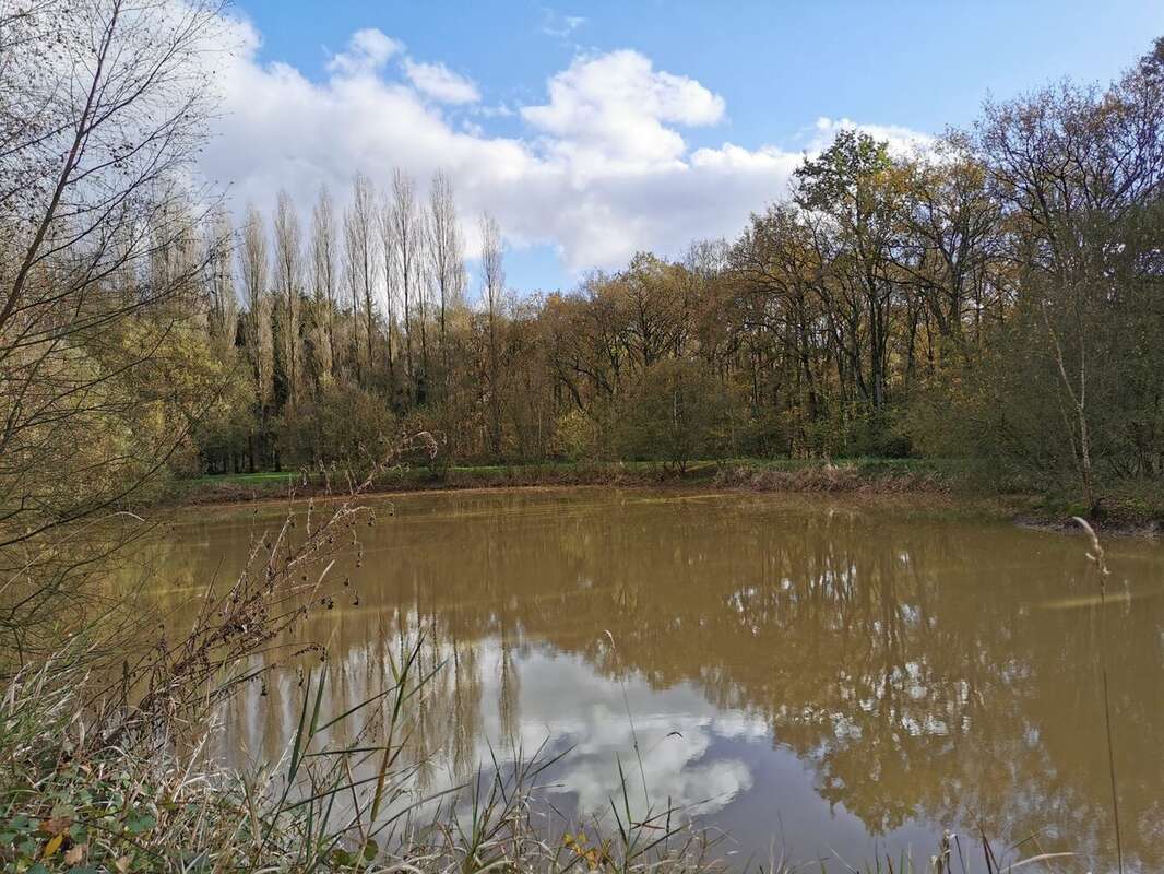 Terrain à SAINT-BRIEUC