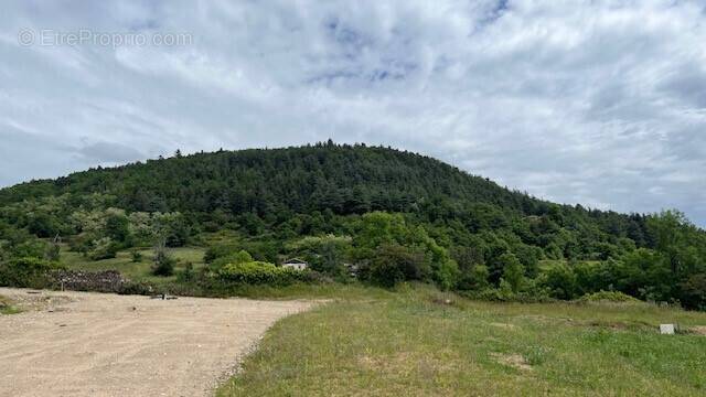Terrain à SAINT-ALBAN-D&#039;AY