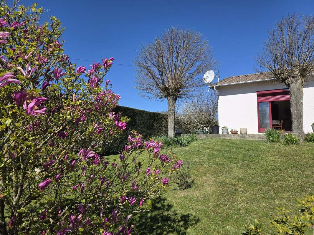 Maison 136 m² à Pommier-De-Beaurepaire  - photo 6