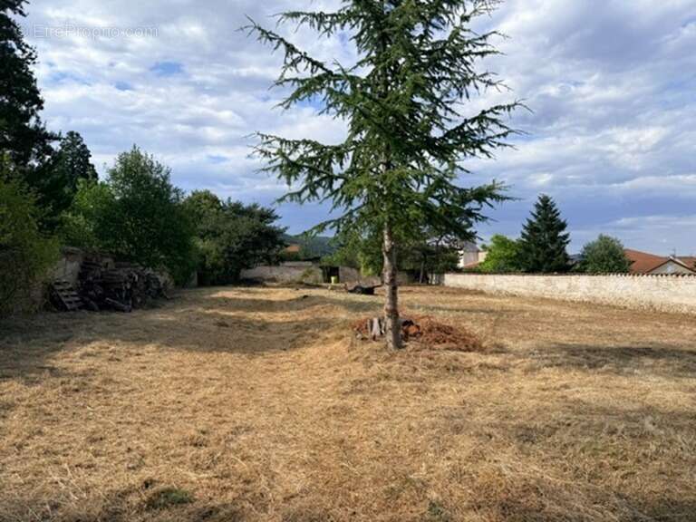Terrain 600 m² à Bas-En-Basset  - photo 2