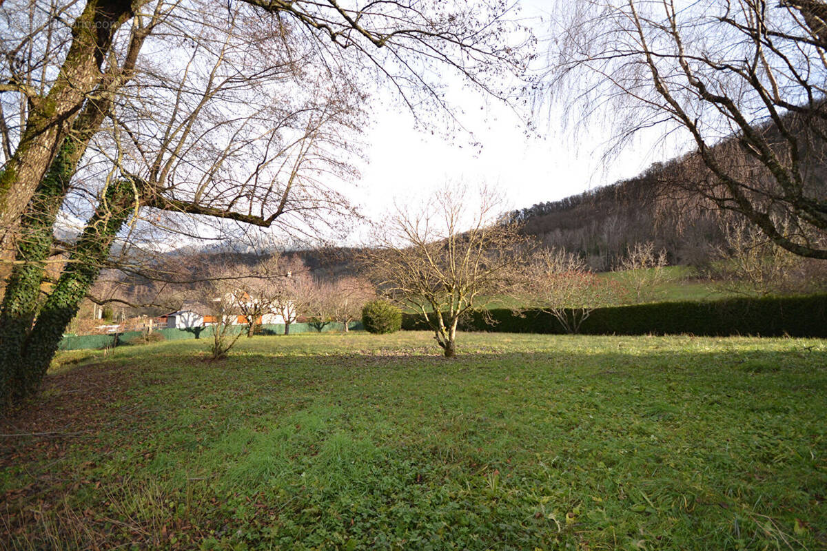 Terrain à DUINGT